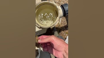 Unclog your Pool pump easier - Pro Tip #pentair