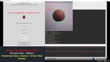 Raspberry Pi - Fruit & Vegetables Recognition