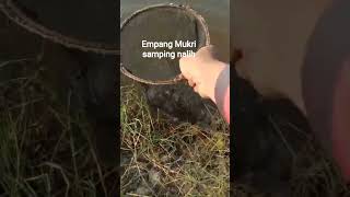 Empang Mukri samping Empang nalih by bang BORIH