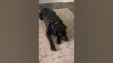 Module 6 Video Part 2