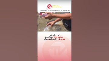 Chuyện lạ: Lão ông “cưu mang” đàn cá sông hàng nghìn con | Truyền hình Quốc hội Việt Nam