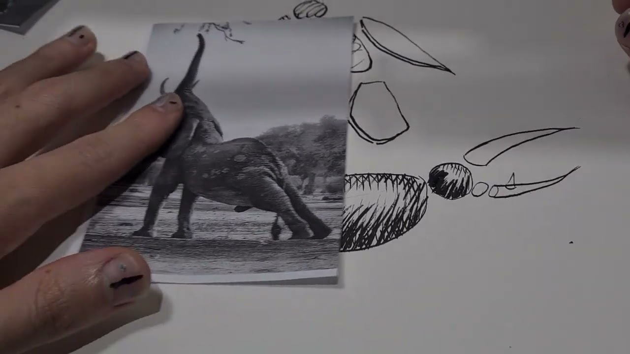 Desenhando Animais - Vou te Coutar