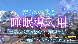 🌙 【眠れる雑学】世界の不思議をやさしく解説｜宇宙・動物・人間の秘密（バンフ絶景）