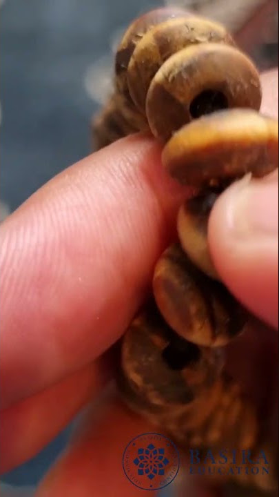 Digital tasbihs are a great way to make salawat like Sultan Abdul Hamid II used to do #Shorts