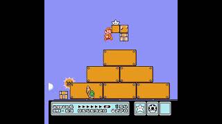 SUPER MARIO BROS. 3 RANDOMIZER - WORLD 4 (New Game No. 1)