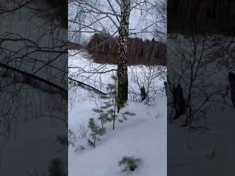 Село Гать, дорога до Ганиной Ямы.