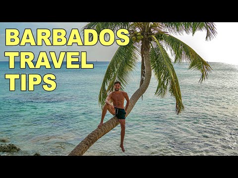 How To Travel Barbados (TRAVEL TIPS) in 2023 | What You NEED to Know