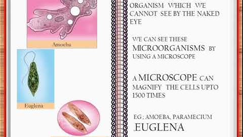 Class-6 Basic Science Chapter-1:CASKETS OF LIFE, Part  1- Sameera VTK