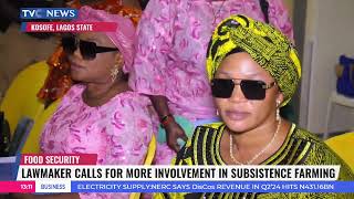 Food Security: Lawmaker Calls For Greater Involvement In Subsistence Farming screenshot 4