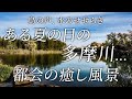 ある夏の日の多摩川、癒しの風景