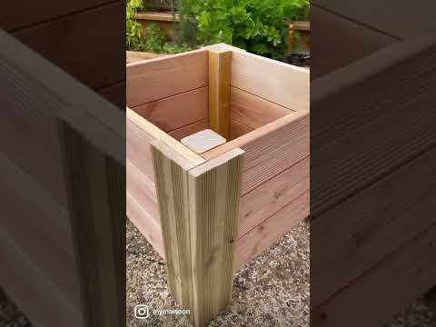 Vidéo: Que sont les plantes standard - Comment faire une plante standard pour le jardin