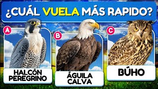 ✅31 Preguntas Sobre las "AVES" 🐓🦉🦆 | Test/Trivia/Quiz screenshot 5
