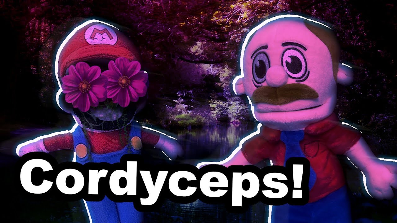 Cordyceps V3 [In-Game Mix] - SML Movie: Jeffy’s Infinite Irida! OST [Cancelled]