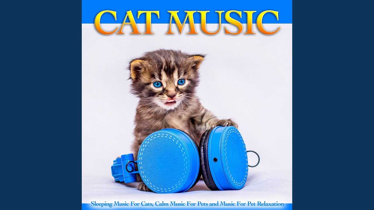 Кэт Мьюзик. Дуэт кэтс. Котенок слушает музыку. "Charming Kitten". Music pets