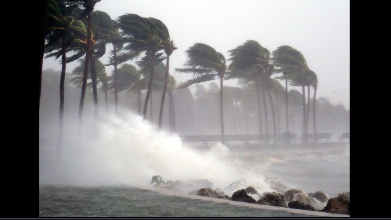 This is the storm weather of raining, windy & cloudy. July 20, 2021 🌧️🍃