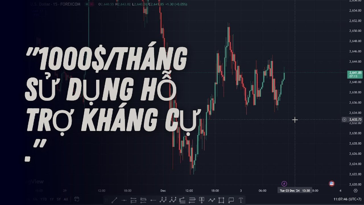 Học Cơ Bản Của Hỗ Trợ Kháng Cự Trong 30 Phút |TChannel |