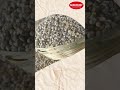 Pearl Millet Ganji