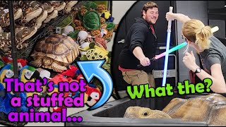 Weird Things that Happen at Snake Discovery (Shenanigans Ep. 4)