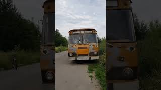 ЛиАЗ-677М "переходка" 1984 года