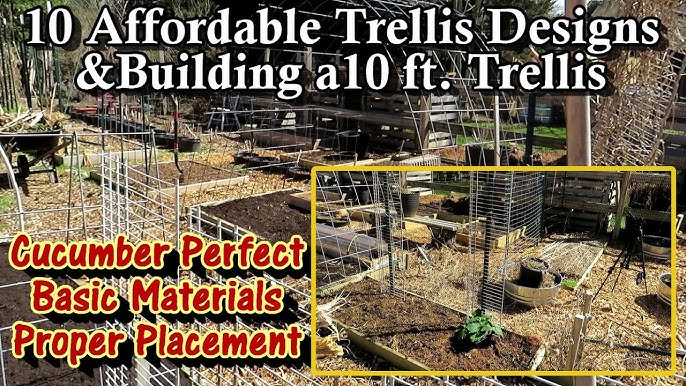 How to Build a Cool Cucumber Trellis (Simple & Inexpensive!) 