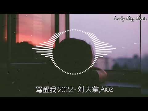 骂醒我·2022​ -​ 刘大拿, Aioz