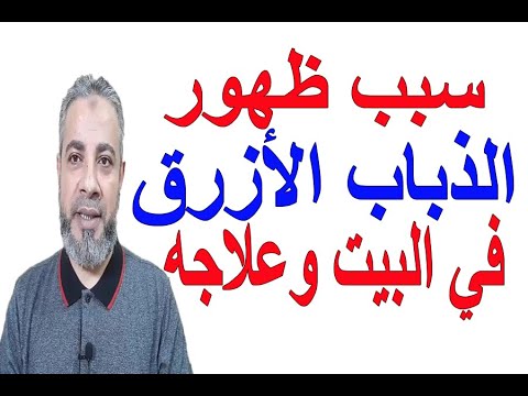 سبب ظهور الذباب الأزرق الكبير في البيت وعلاجه اسماعيل الجعبيري