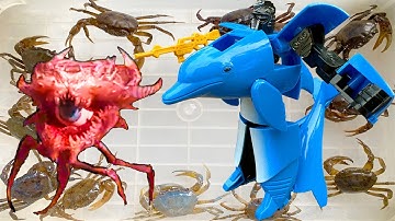 Kem Ốc Chanel dẫn thú cưng con cua ra ngõ gặp quái vật một mắt bắt con rắn hổ mang, rắn nước, cá heo