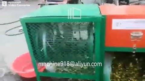 Green walnut peeling machine with cleaning features