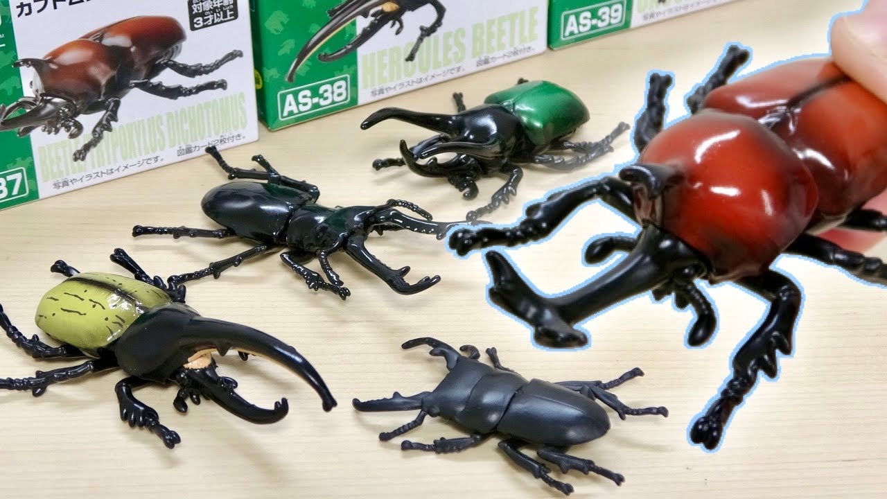 夏はアニアの昆虫祭り クワカブ 7月新商品 カブトムシ ヘラクレスオオカブト コーカサスオオカブト ギラファノコギリクワガタ ヒラタクワガタ Simo Base 折り紙モンスター