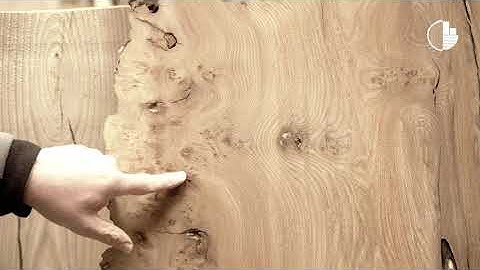 Wood Knowledge: Elm Characteristics - a waney edge Elm board with some pippy grain