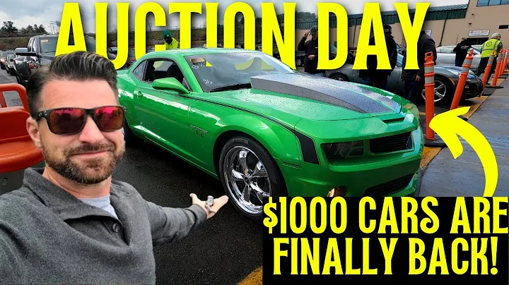 Can we buy a Clean Drive-able car for $1000 at a Dealer Auction ? - Flying Wheels - DayDayNews