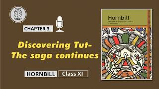 Chapter 3 Discovering Tut The Saga Continues