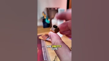 CAPYBARA keyboard switches!? Check em out at Hipyo.co #customkeyboard #capybara