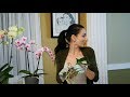 Ինչպես Խնամել Խոլորձը - How to Repot Orchids - Մայրիկ Mayrik by Heghineh
