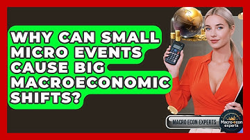 Why Can Small Micro Events Cause Big Macroeconomic Shifts? - Macroecon Experts