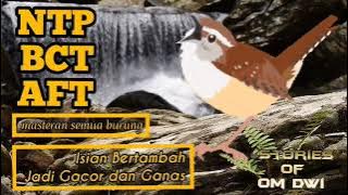 isian bertambah gacor ganas | NTP masteran semua burung | gemericik air |@stories of om dwi