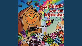 't Sjteit in de sjterre gesjreve (feat. Jozanne van der Velden)