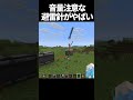 うるさいけどめっちゃ派手で綺麗すぎる...⚡️ #minecraft