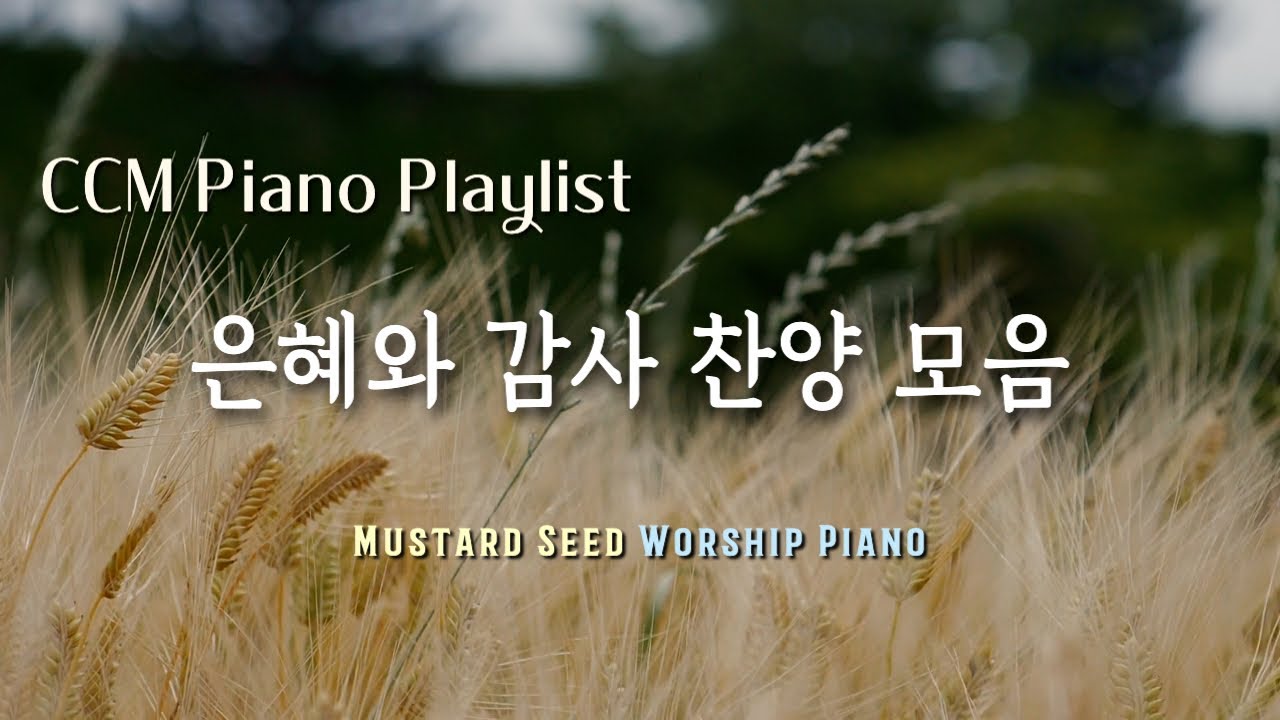 🎹𝐏𝐥𝐚𝐲𝐥𝐢𝐬𝐭 하나님의 은혜, 감사 찬양 연주 모음 / 추수감사절 / Thanksgiving CCM Piano