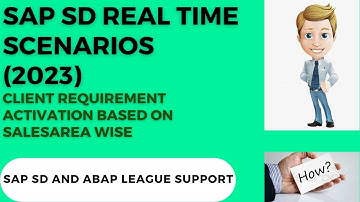 SAP SD Real Time Scenarios (2023) - Sales Area Wise Activation