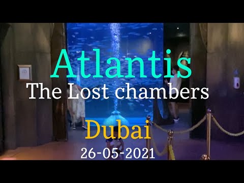 Atlantis | Lost Chambers | Dubai| Aquaventure| Shark | Manta’s | 26-05-2021