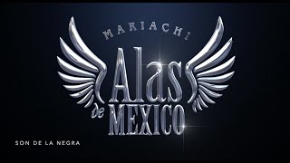 Video thumbnail of "Son de la Negra"