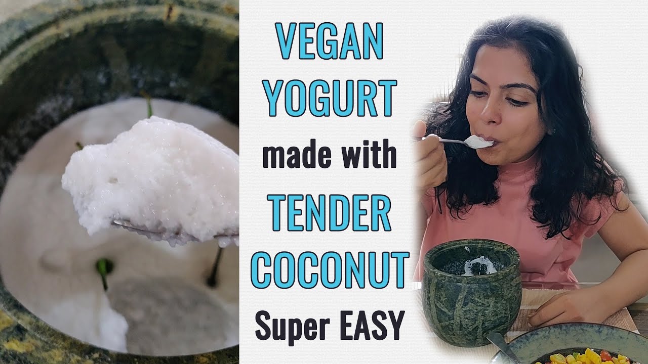 Super Easy Tender Coconut Yogurt | Homemade Vegan Coconut Yogurt - YouTube