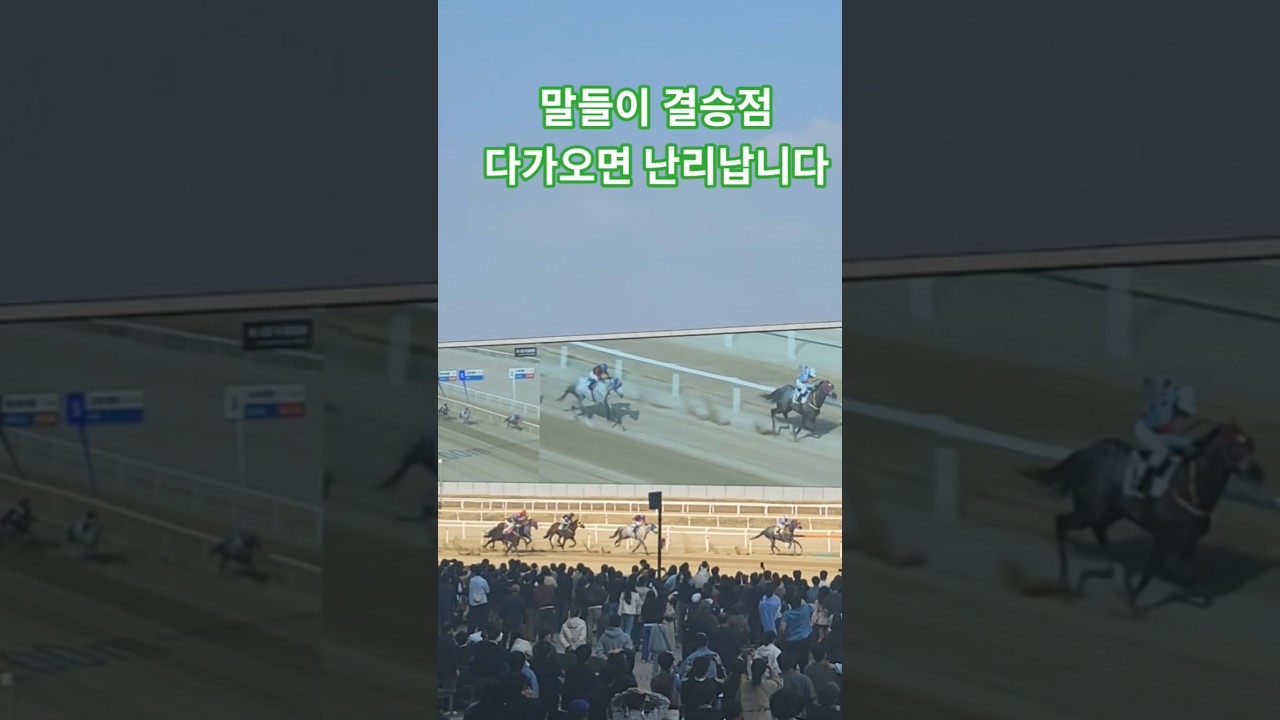 내가산 마권만 맞으면되!#경마 #말 # 달려라말 #shorts #응원