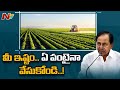 తెలంగాణలో నియంత్రిత సాగు విధానం రద్దు | Regulated Farming Cancelled in Telangana | Ntv