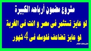 مشروع صغير مربح بمنتهى البساطة هتضاعف رأس مالك بمشروع سهل ومضمون