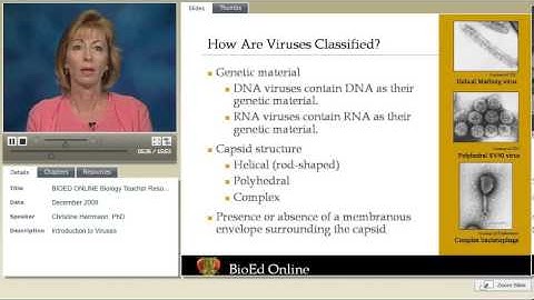 Introduction to Viruses