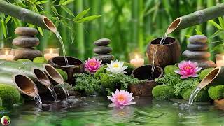 Relaxing & Spa Music 🎶 เพลงบำบัด ผ่อนคลายสมอง ปล่อยวางความกังวล