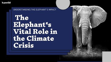ecosystem engineers—the elephant’s role in the climate crisis
