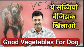 Good Vegetables For Dogs       Ramawat Dog care